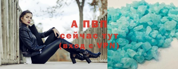 тгк Новозыбков