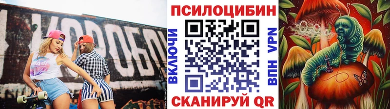 Купить  Югорск  Псилоцибиновые грибы GOLDEN TEACHER 